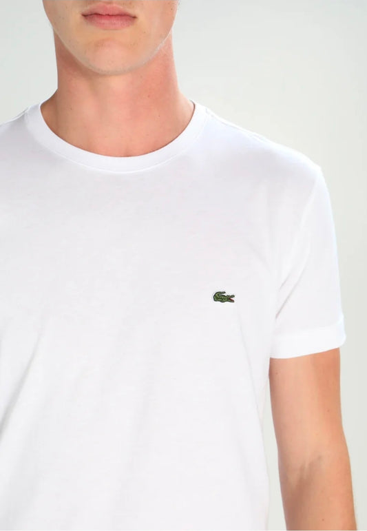 lacoste uomo t-shirt